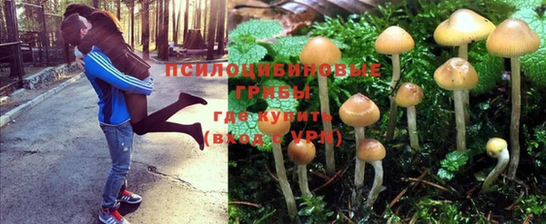 2c-b Абдулино
