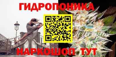 спайс Обь