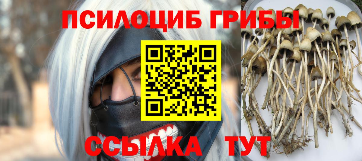 Псилоцибиновые грибы мухоморы  Вход с VPN  Черногорск 